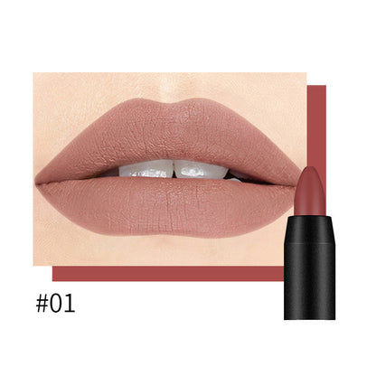 DNM Matte Lipstick – Intense Color, Smooth Matte Formula